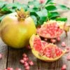 Granatapfel `Haku Botan´ Punica Granatum -Frucht Wald Geschaft Granatapfel weiss Erweiterte Lizenz