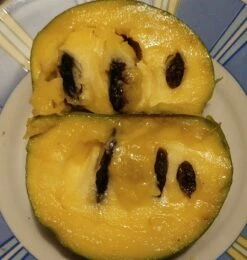 Veredelte Indianerbanane (Paw Paw) `Shenandoah®´ Asimina Triloba `Shenandoah´ -Frucht Wald Geschaft Indianerbanane von Innen5a0476156796c