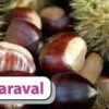 Esskastanie `Maraval´ Castanea Sativa `Maraval´ 1 Esskastanie `Maraval´ Castanea Sativa `Maraval´ -Frucht Wald Geschaft Maraval