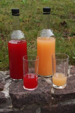 Rosette® Malus Domestica -Frucht Wald Geschaft Rosette Saft