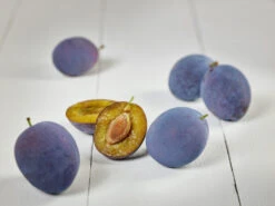 Hanita ® Prunus Domestica `Hanita 13 Hanita ® Prunus Domestica `Hanita -Frucht Wald Geschaft zwetschge hanita g